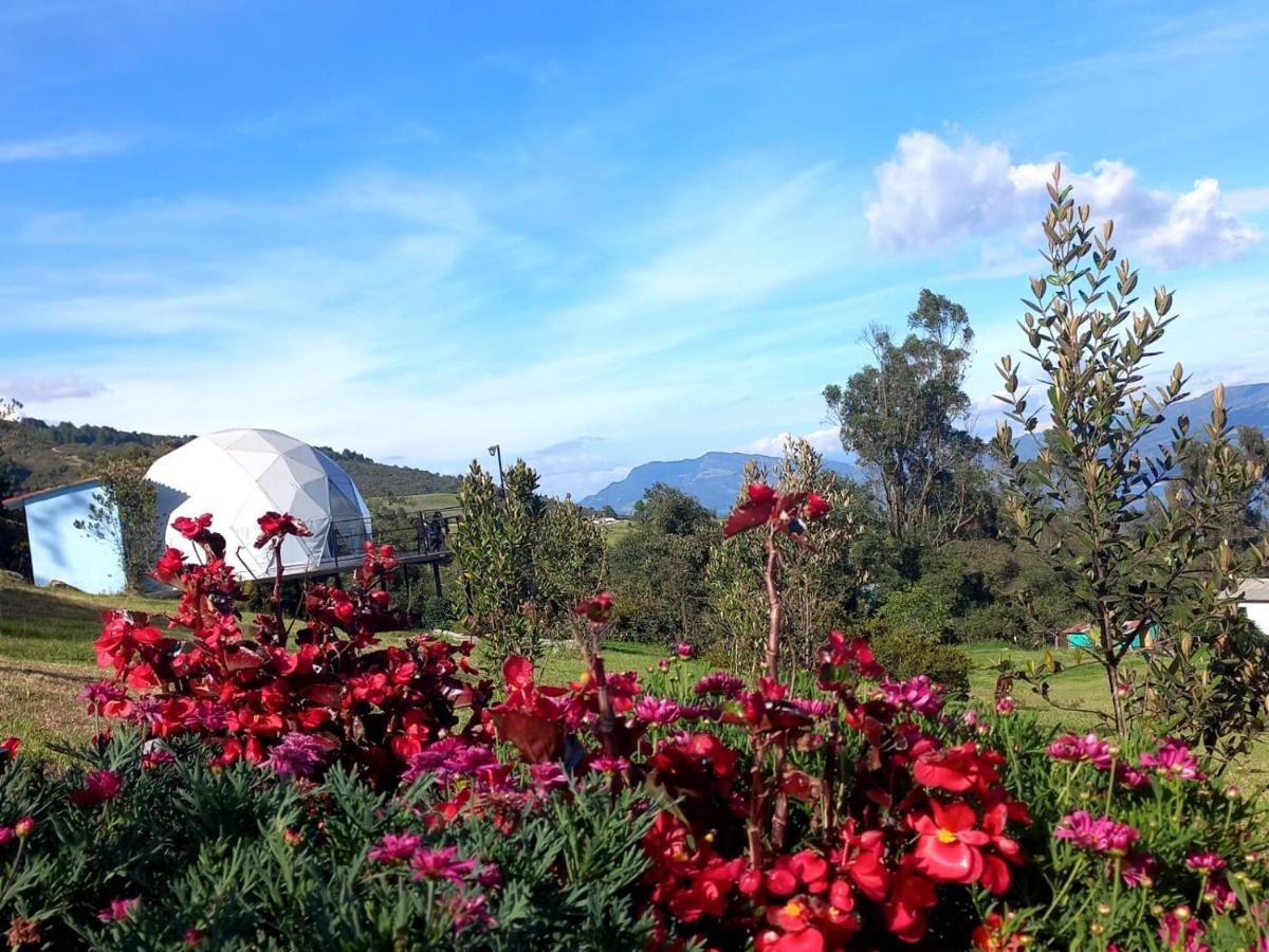 Glamping Hermoso Amanecer 과타비타 외부 사진
