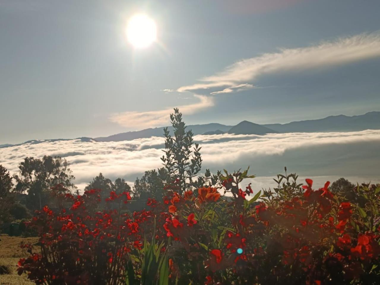 Glamping Hermoso Amanecer 과타비타 외부 사진