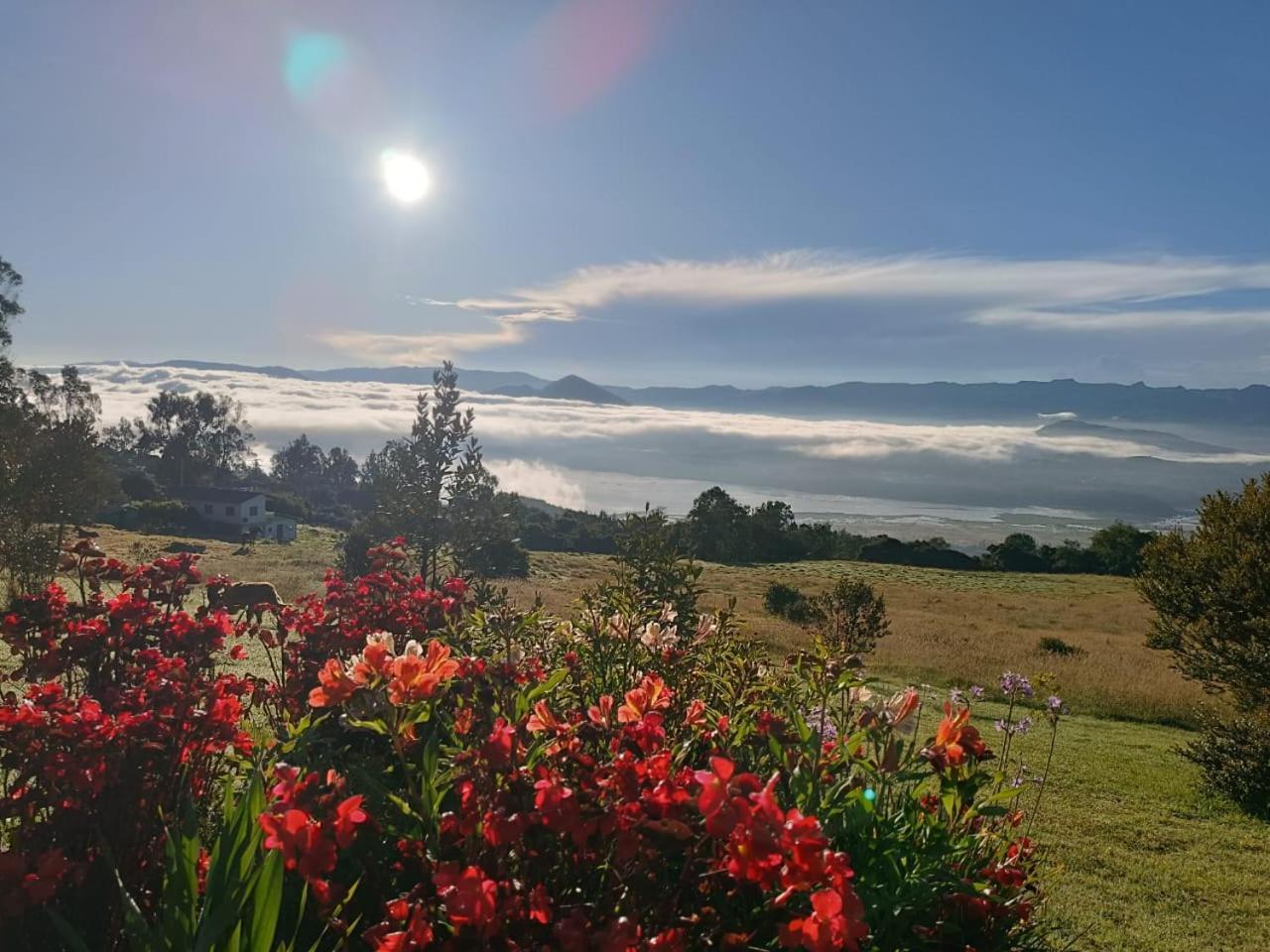 Glamping Hermoso Amanecer 과타비타 외부 사진