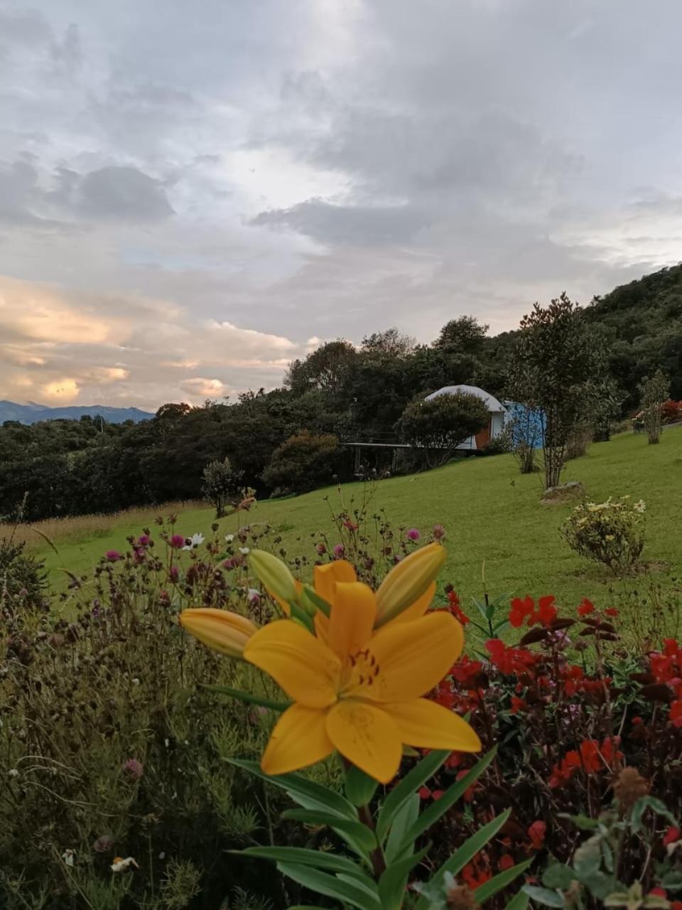 Glamping Hermoso Amanecer 과타비타 외부 사진
